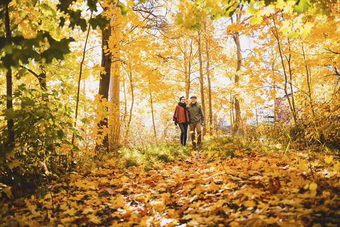 秋のハイキング