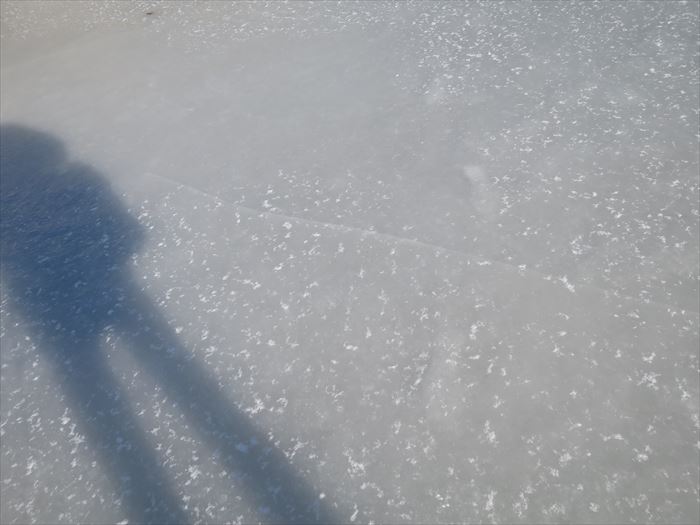 凍った海