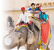 象のタクシーで丘の上へ 世界遺産アンベール城の見どころ いい旅インド オーダーメイドであなただけのインド旅行を