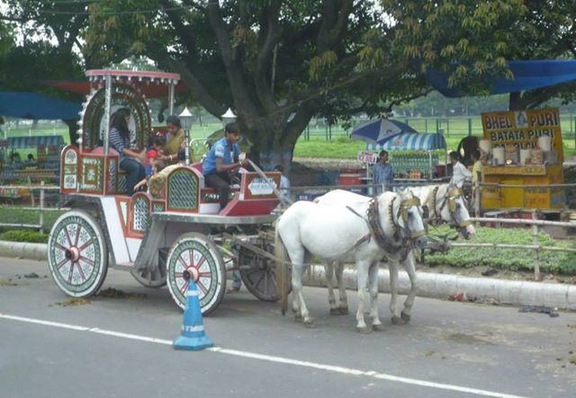 インドのステキな馬車