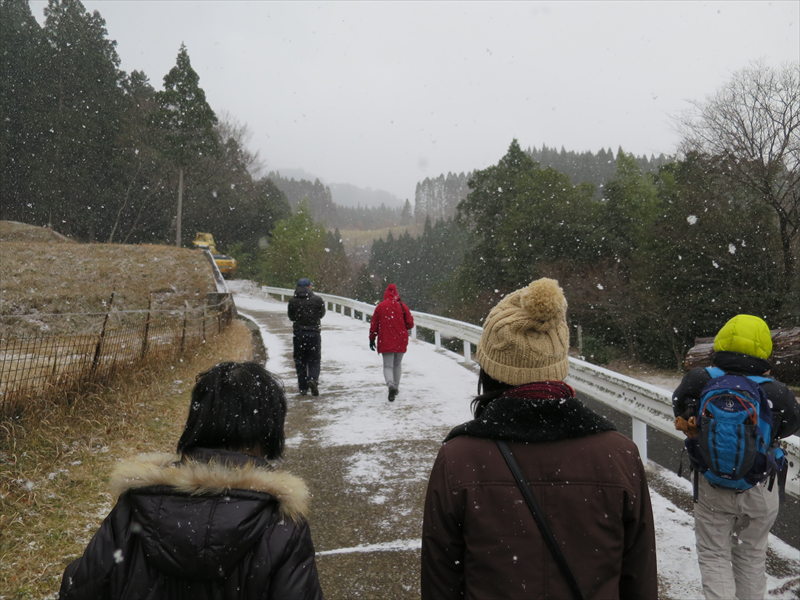 穴森神社への道