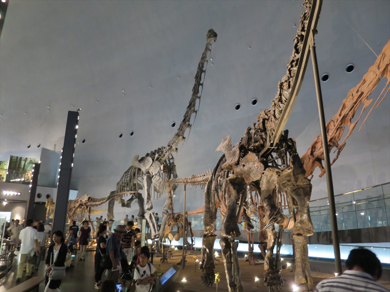 巨大な恐竜骨格