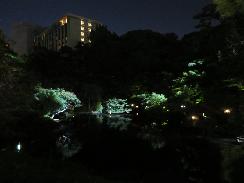 夜の庭園