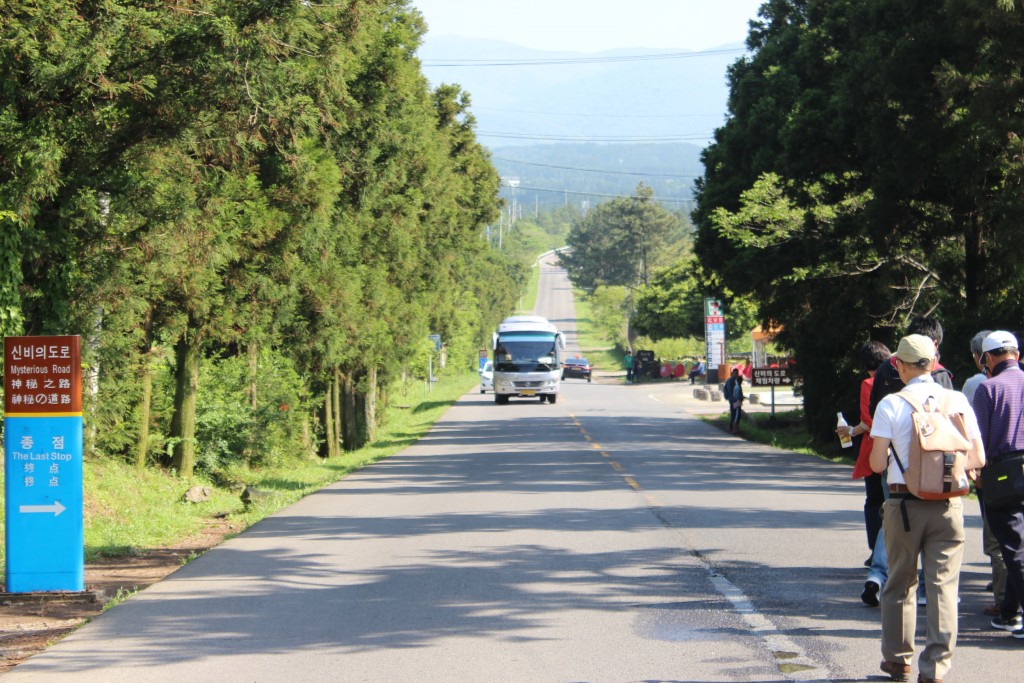 済州島 トッケビ道路