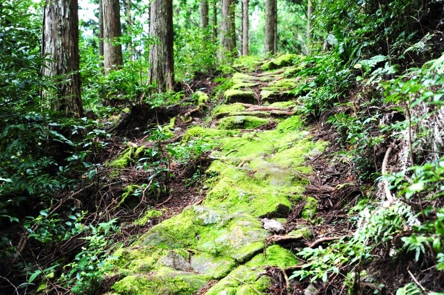三重県 世界遺産 熊野古道