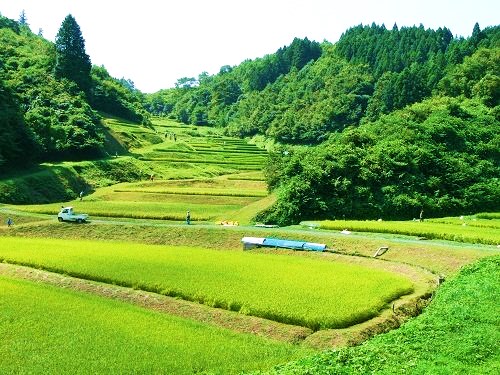栃木もてぎ 石畑の棚田 @栃木県観光物産協会