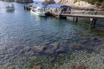 西伊豆の海　堂ヶ島