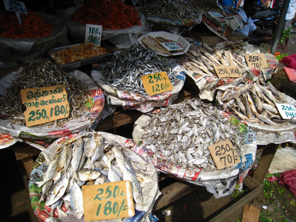 コロンボ近くのマーケットで売られる海産物