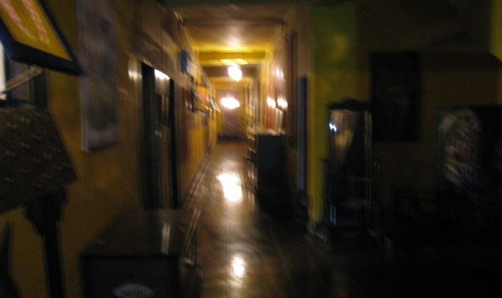 ヘルガズフォリーの薄暗い廊下（昼）