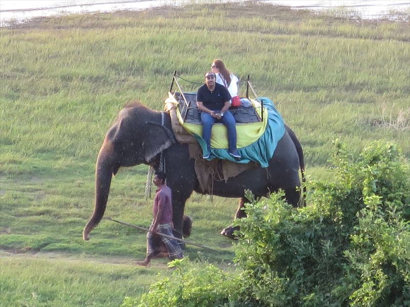 象に乗った観光客