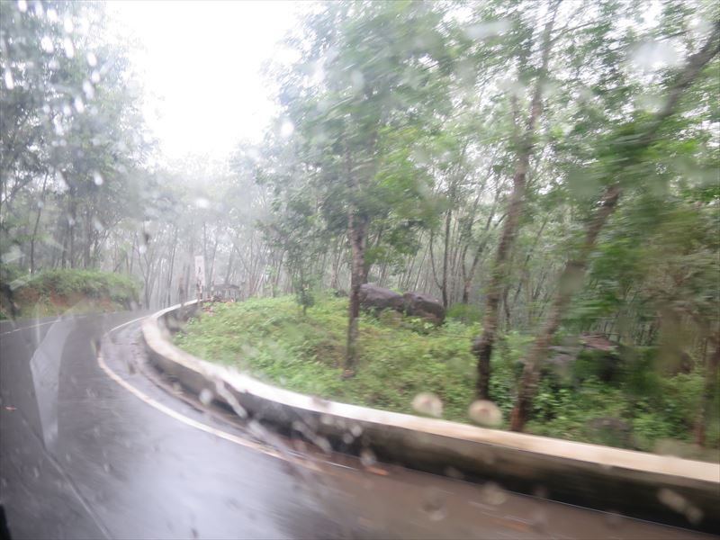 雨の山道