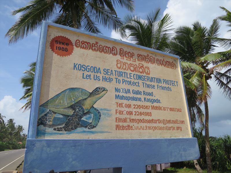 海亀保護施設の看板
