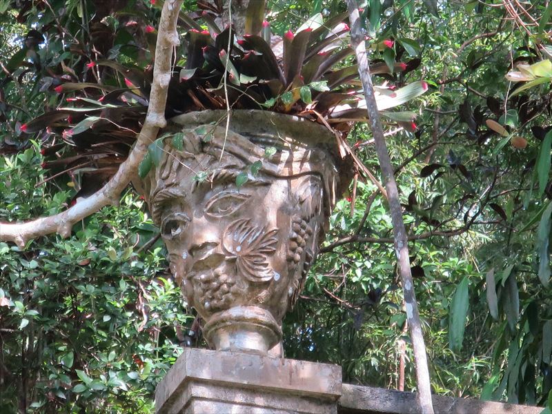 ルヌガンガの植木鉢