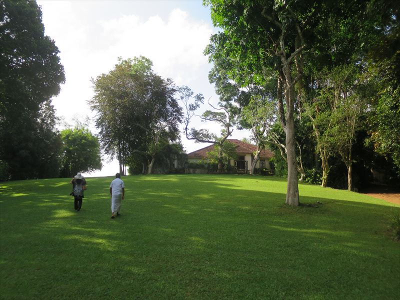 ルヌガンガの敷地